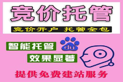 案例解析：专业SEM托管助力企业增长